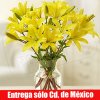 Explosi�n de Lilis