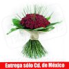 100 Rosas