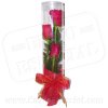 Rosas en Estuche - Cod. 78059